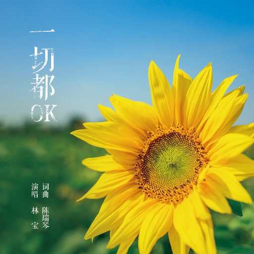 1024免费永久福利视频
